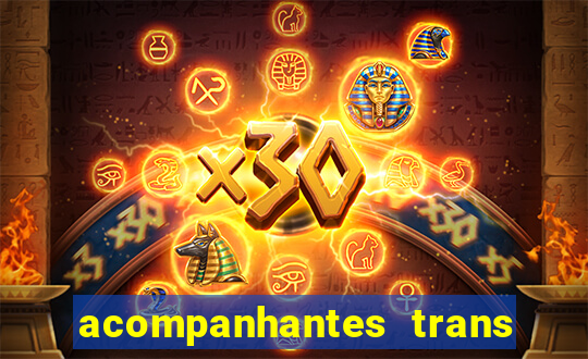 acompanhantes trans porto seguro